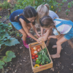 Comment donner envie aux enfants de plus de 3 ans de manger des légumes ? Découvrez dans cet article de précieuses astuces.